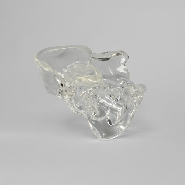 Pelvis, Full Male, Solid Clear Plastic