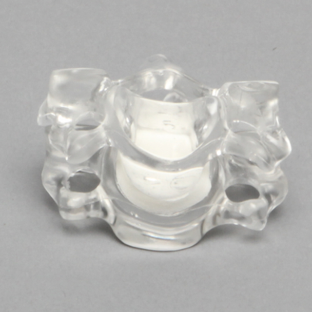 Cervical Vertebrae C5-C6, Solid Clear Plastic