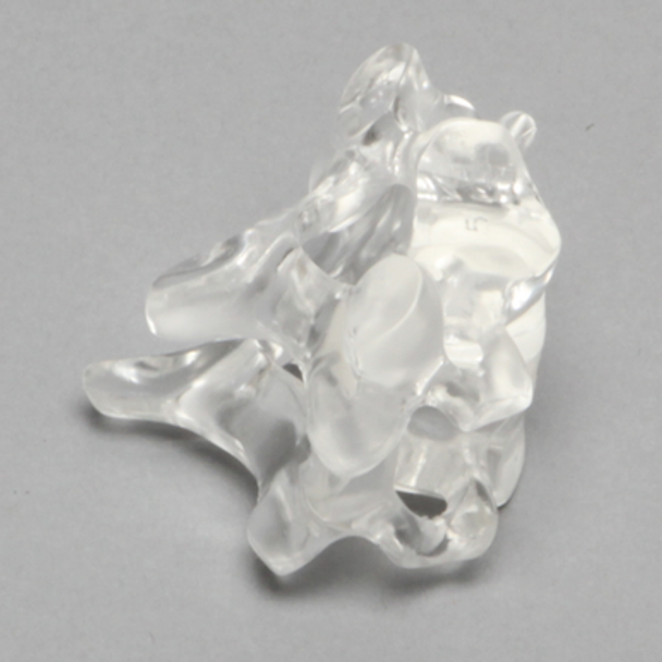 Cervical Vertebrae C5-C6, Solid Clear Plastic