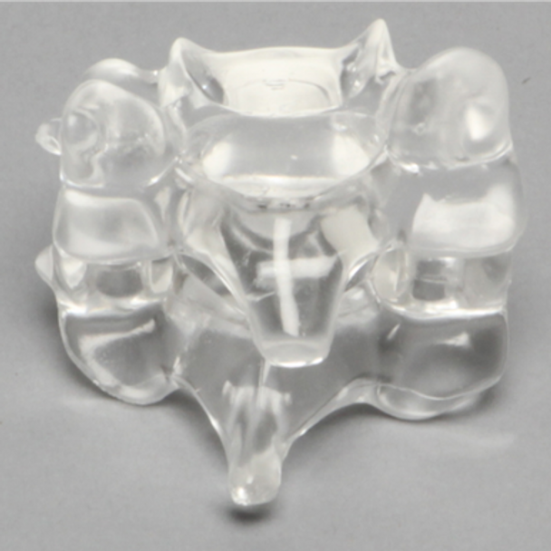 Cervical Vertebrae C5-C6, Solid Clear Plastic