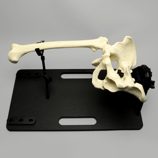 Universal Fully Adjustable Hip and Knee Holder