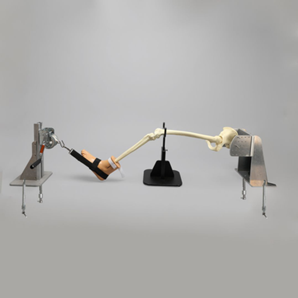 Hip Specimen Holder