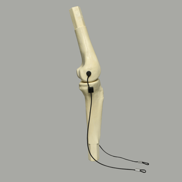 Converge™ Medium Knee Joint with Adjustable Ligaments