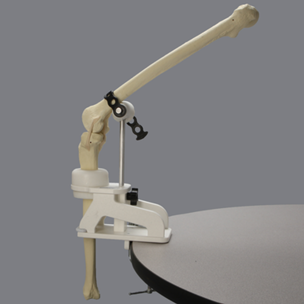 Express Knee Holder