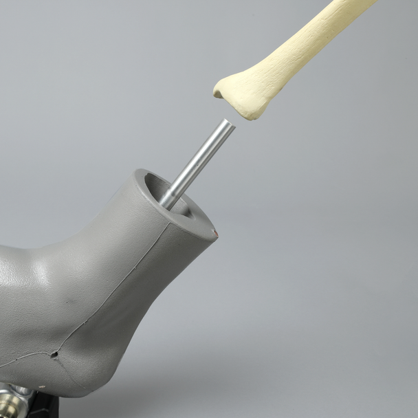 The Sawbones TKS - Total Knee System (Medium and Large)