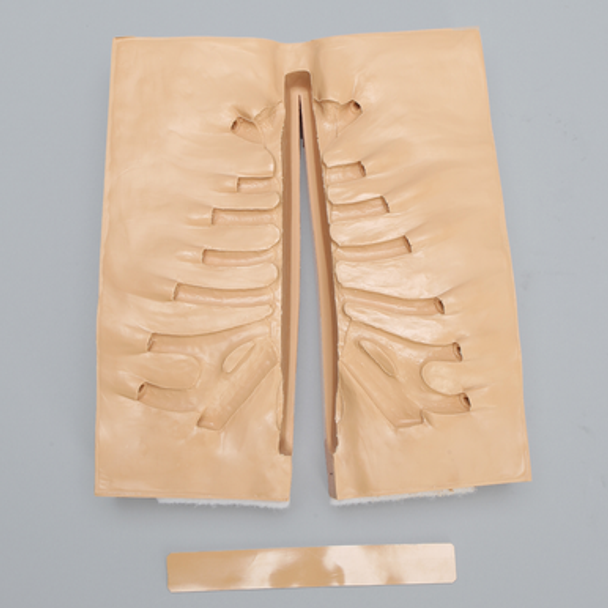 Sternum Holder