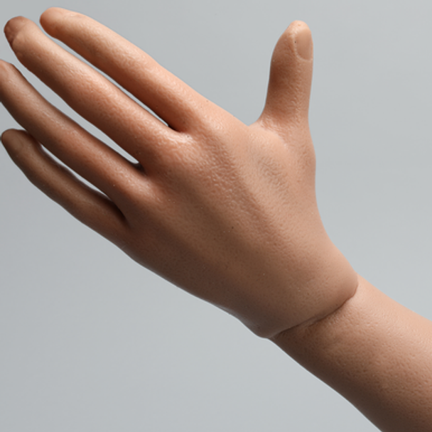 Colles Fracture Reduction and Casting Technique Trainer