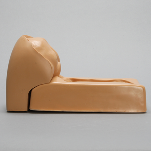 Spine Holder, Posterior Occipital and Cervical Holder