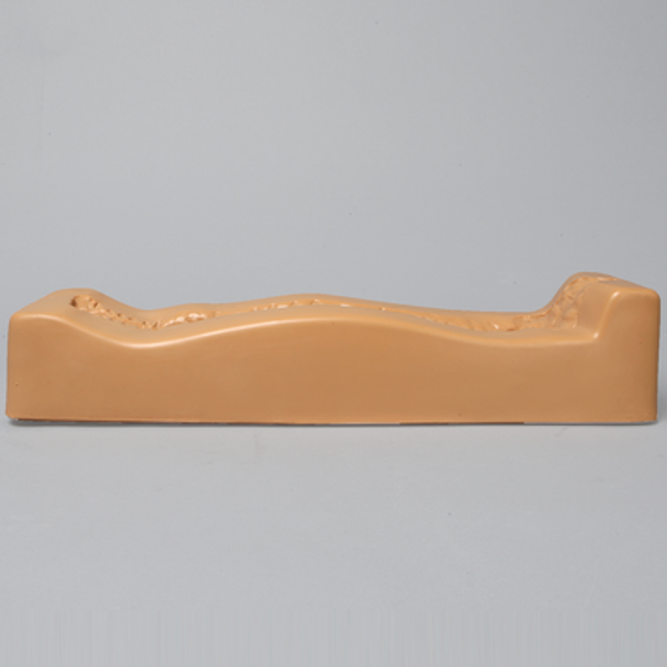 Spine Holder, Posterior C1-Sacrum, Pediatric