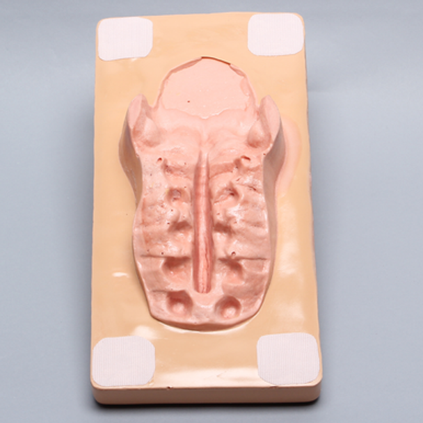 Cover for Spine Holder #1524-5