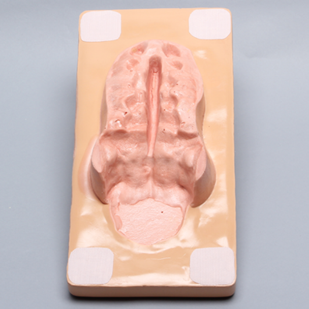 Cover for Spine Holder #1524-5