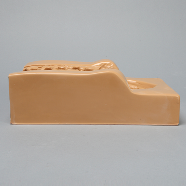 Lumbar Holder for Anterior Approach, Without Muscle Structure