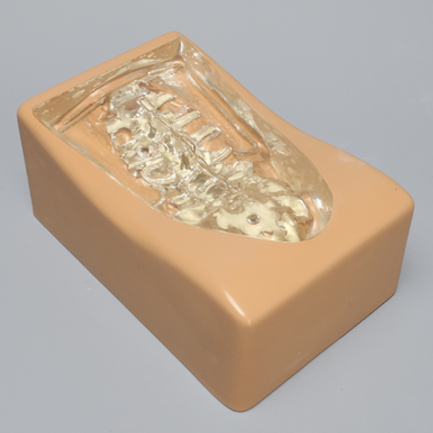 Clear Cover for Lumbar Holder #1524-1 Without Portals