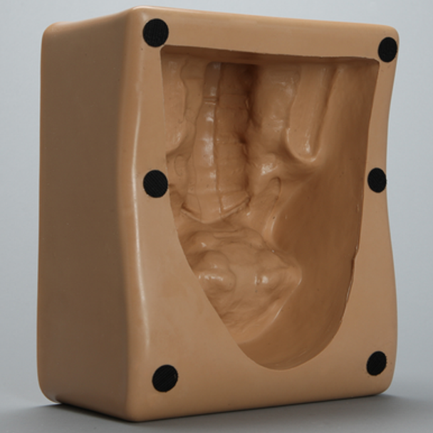 Spine Holder, Posterior L3-Sacrum