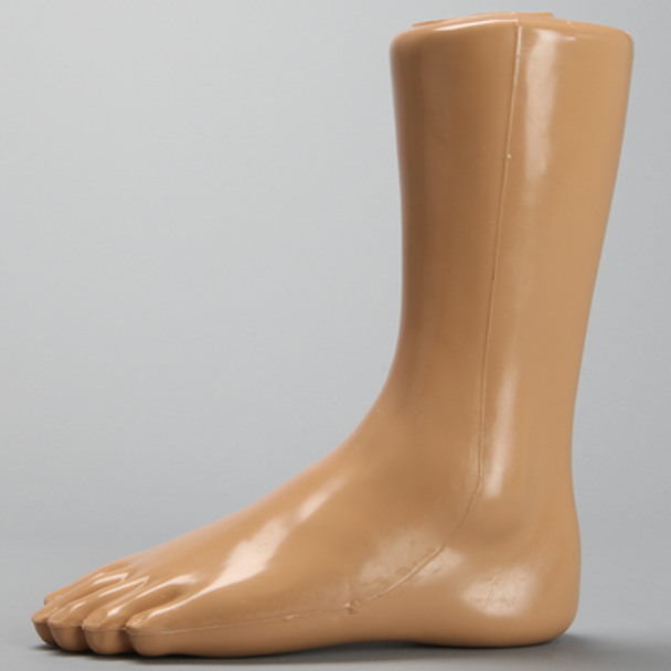 Foot and Ankle with Fracture and Radiopaque Bones, Encased