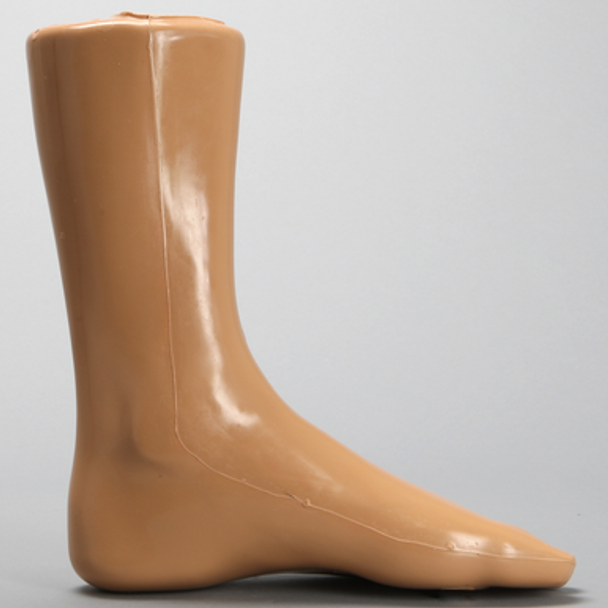 Foot and Ankle with Fracture and Radiopaque Bones, Encased