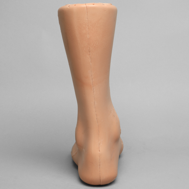 Foot and Ankle with Talar Fracture, Encased