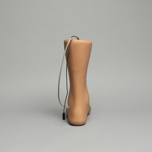 Foot and Ankle Injection Trainer