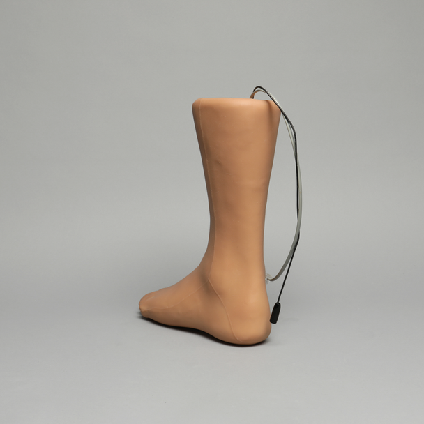 Foot and Ankle Injection Trainer