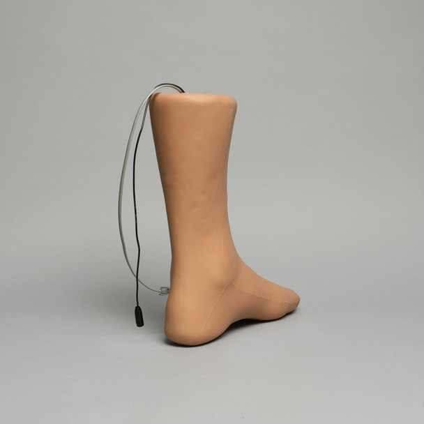 Foot and Ankle Injection Trainer