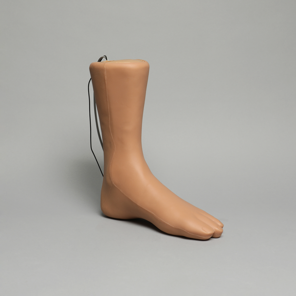 Foot and Ankle Injection Trainer