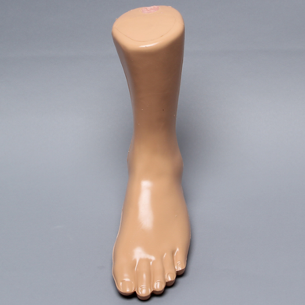Foot and Ankle, Distal, Encased