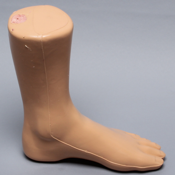 Foot and Ankle, Distal, Encased