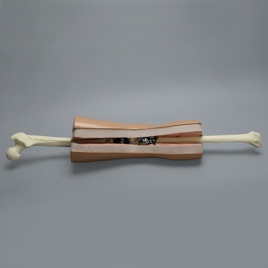 ALICE Knee Simulator