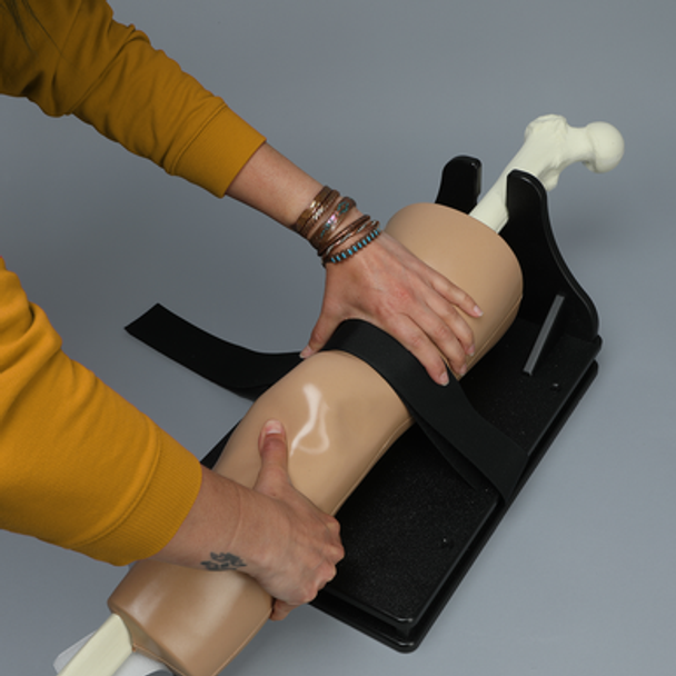 ALICE Knee Simulator with Base