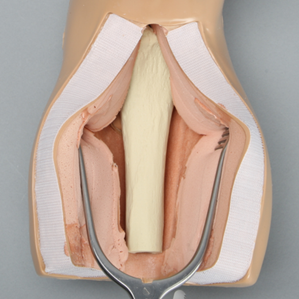 Intraosseous Access Injection Trainer