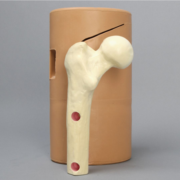 Femur Sleeve, Soft Tissue for Hip Navigation Trainer Femur Sleeve, Soft Tissue for Hip Navigation Trainer