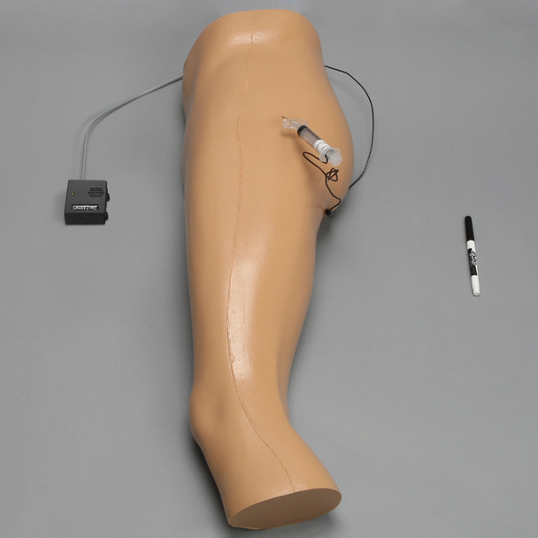 Hip Conductive Injection Trainer