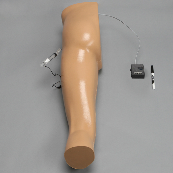 Hip Conductive Injection Trainer