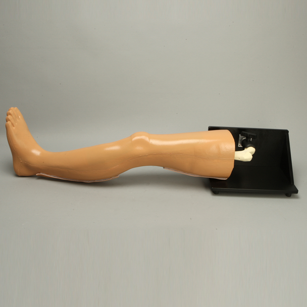 Leg, Soft Tissue, with Removable Bones Leg, Soft Tissue, with Removable Bones