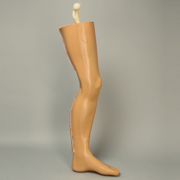 Leg, Soft Tissue, with Removable Bones Leg, Soft Tissue, with Removable Bones