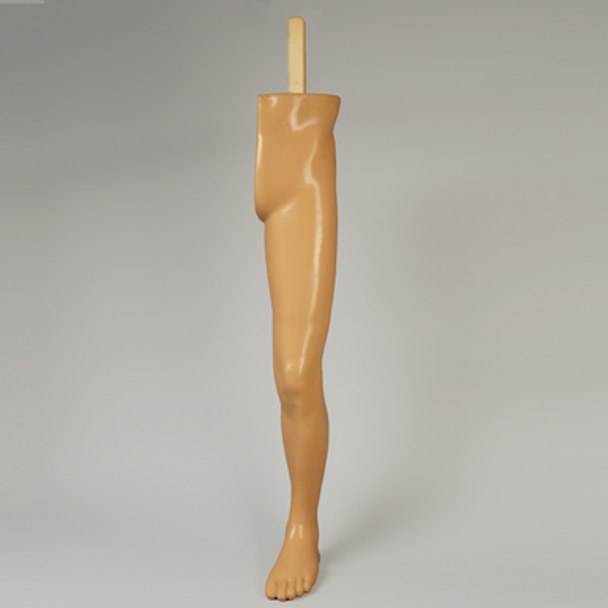 Leg, Soft Tissue, without Bones for Casting