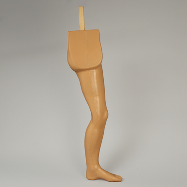 Leg, Soft Tissue, without Bones for Casting