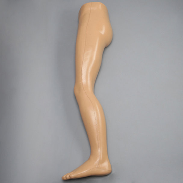 Leg, Encased with Soft Tissue, Radiopaque Bones