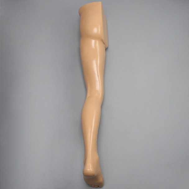 Leg, Encased with Soft Tissue, Radiopaque Bones