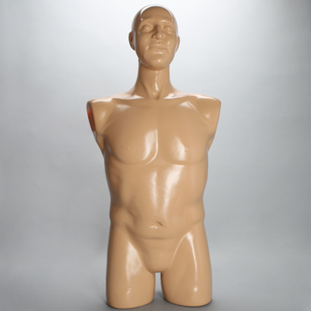 Torso, Full, Spine Holder with Radiopaque Iliac Crests