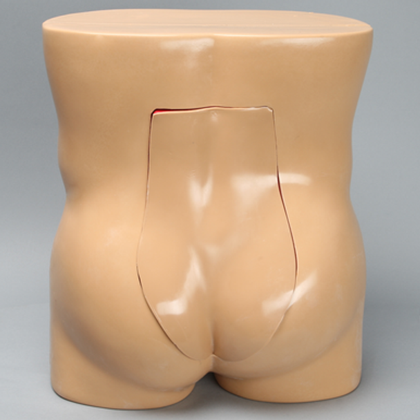 Vertebroplasty Trunk, Short
