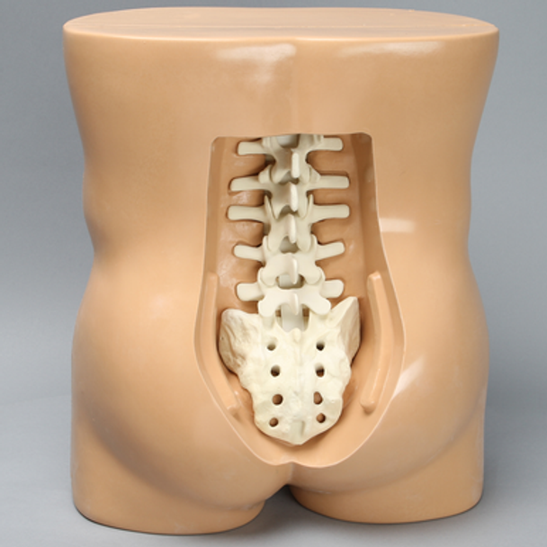 Vertebroplasty Trunk, Short
