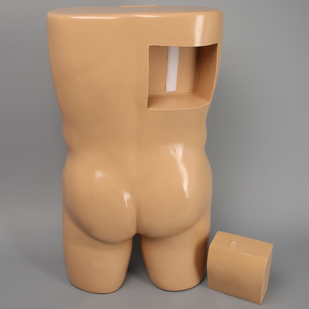 Paracentesis and Thoracentesis Procedure Trunk