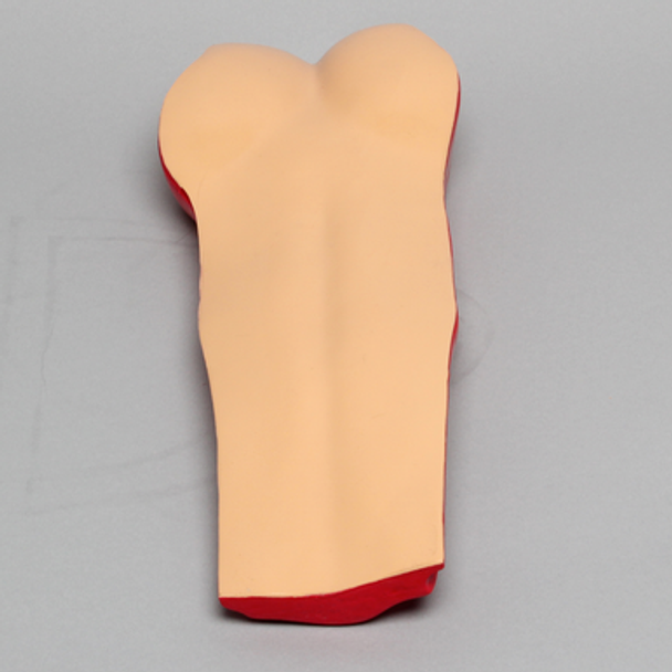 Opaque Cover for Vertebroplasty Trunk #1513-19