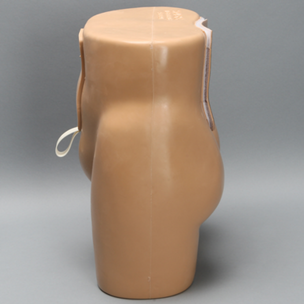 Lumbar Vertebrae Soft Tissue Trunk with Window