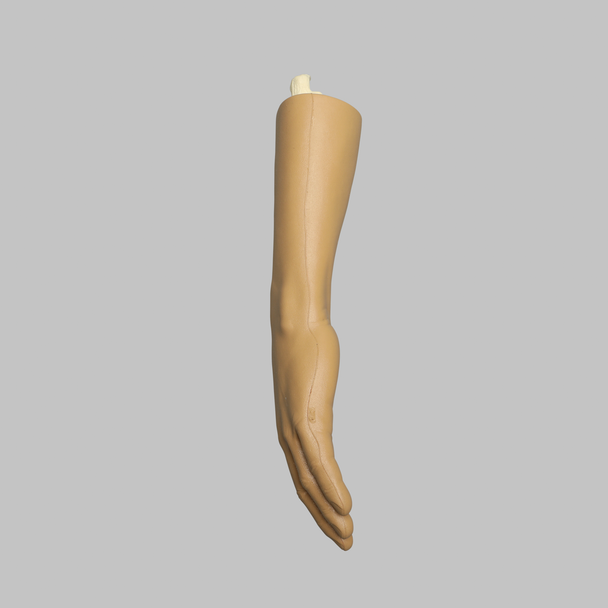 Wrist, Encased