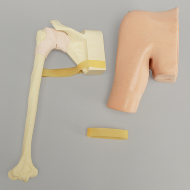 Arthroscopy Shoulder, Simulator for SCR
