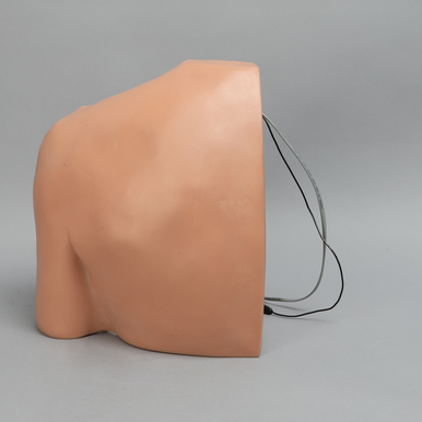Shoulder Injection Trainer