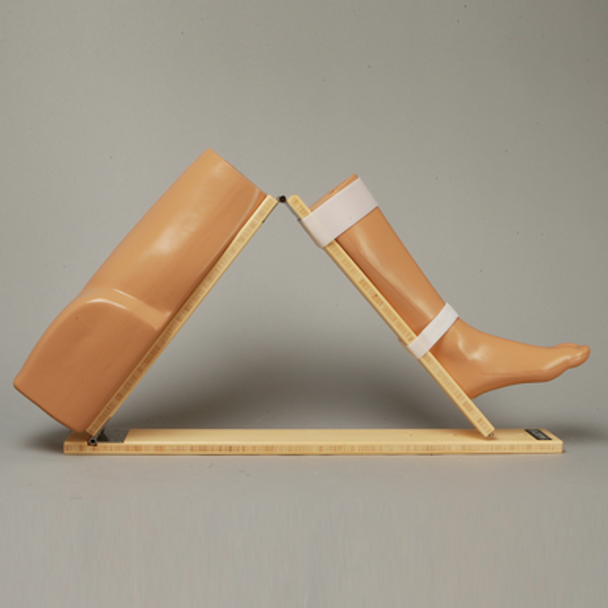 Wooden Knee Holder, Soft Tissue