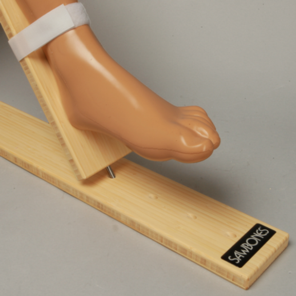 Wooden Knee Holder, Soft Tissue